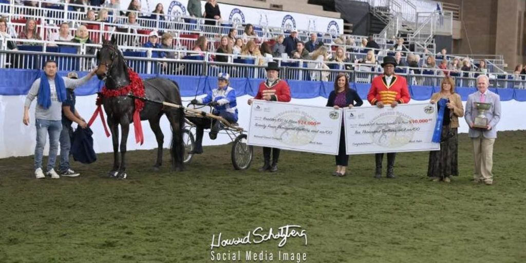 2024 Standardbred Roadster 100 Winner