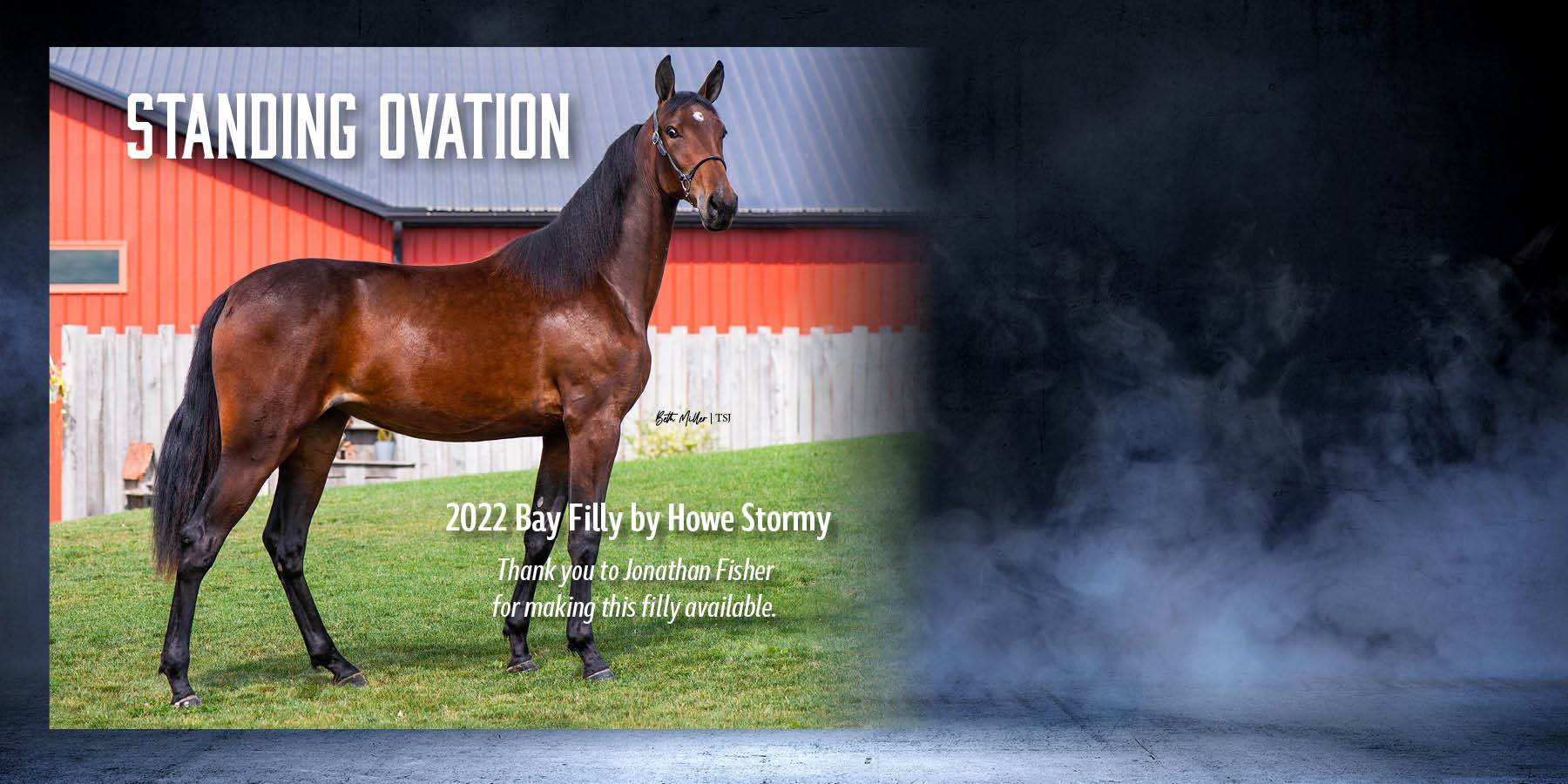 2023 Filly Giveaway - Standardbred Journal